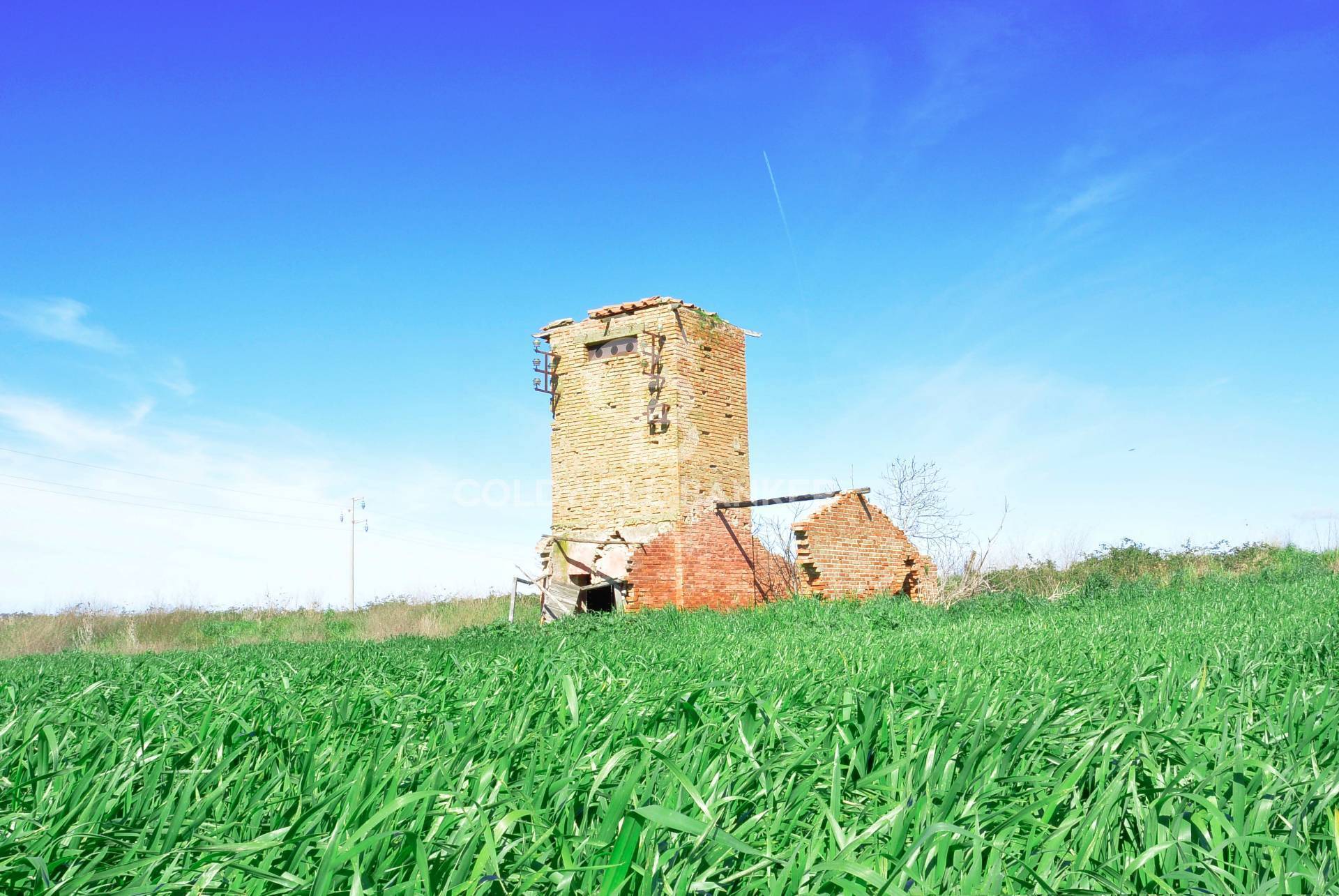 Terreno in vendita, Tarquinia campagna