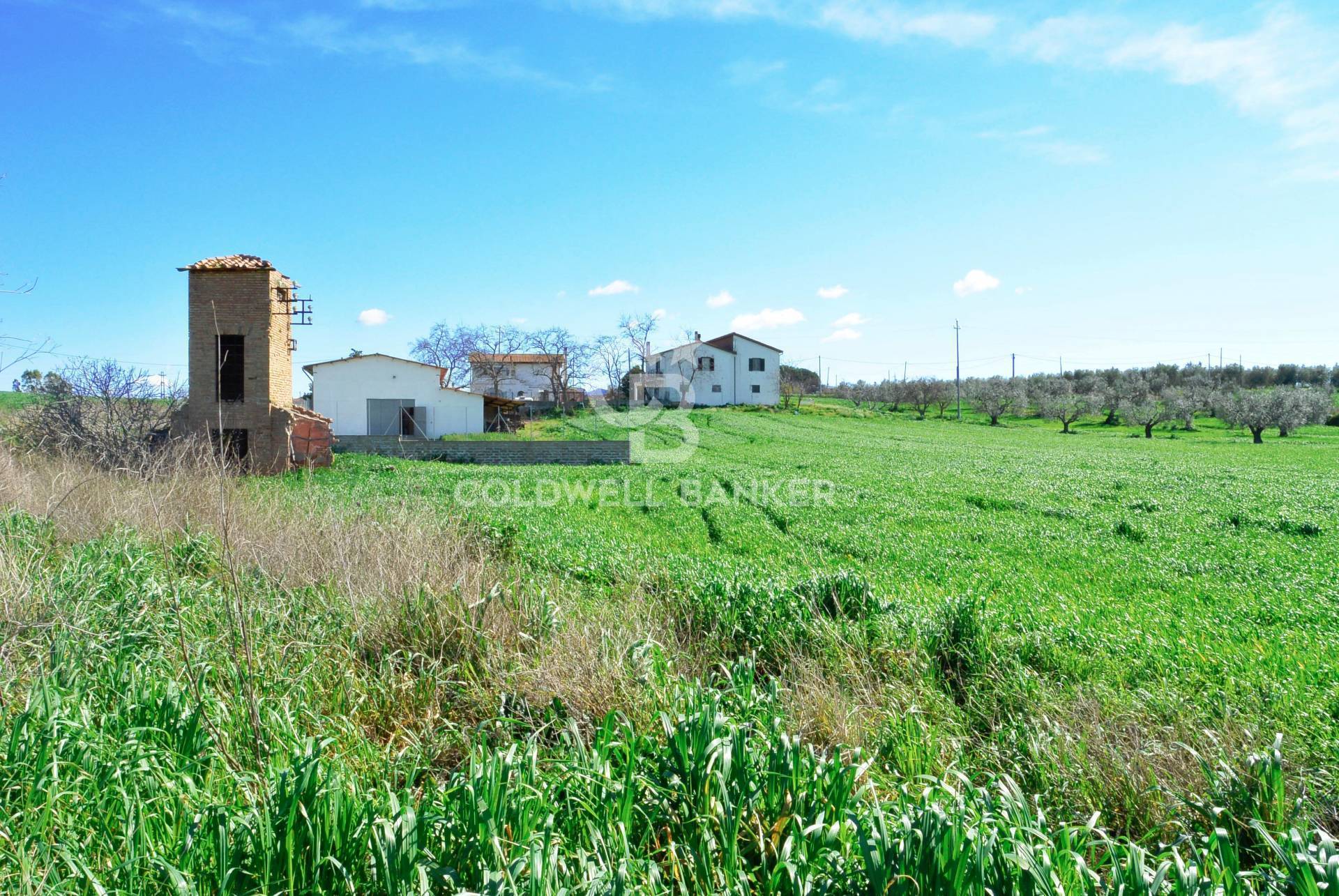 Terreno agricolo in vendita a Tarquinia, Campagna