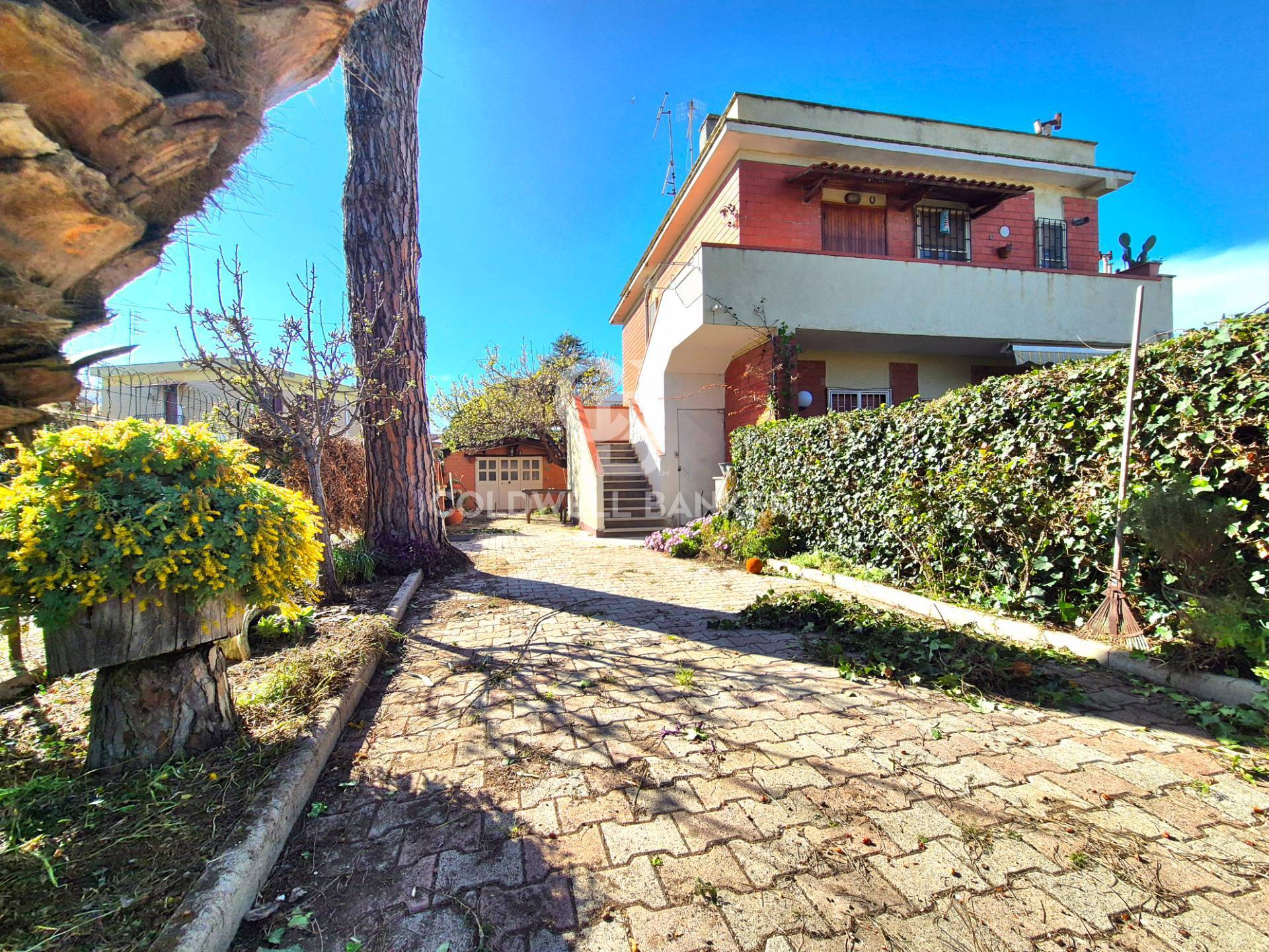 Quadrifamiliare in vendita a Tarquinia, Lido di Tarquinia