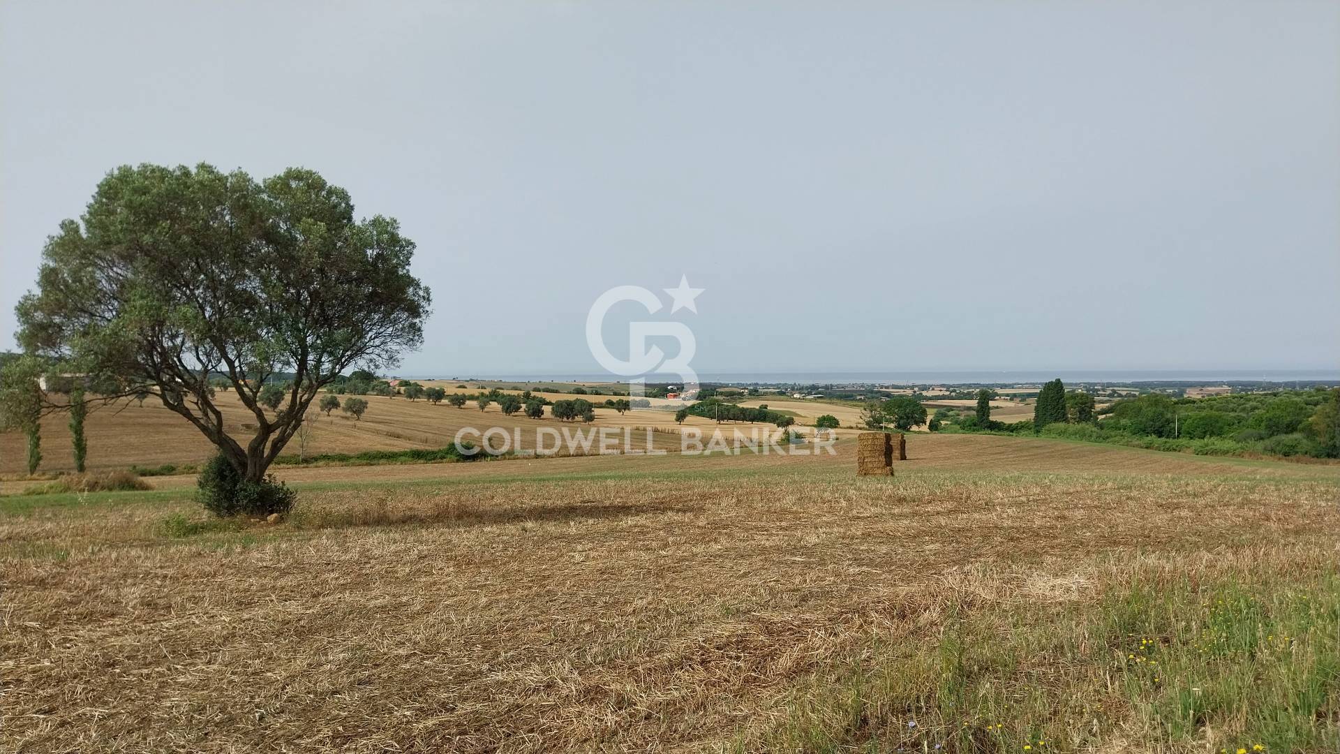 Rustico/Casale/Corte in vendita a Tarquinia, Campagna -Roccaccia