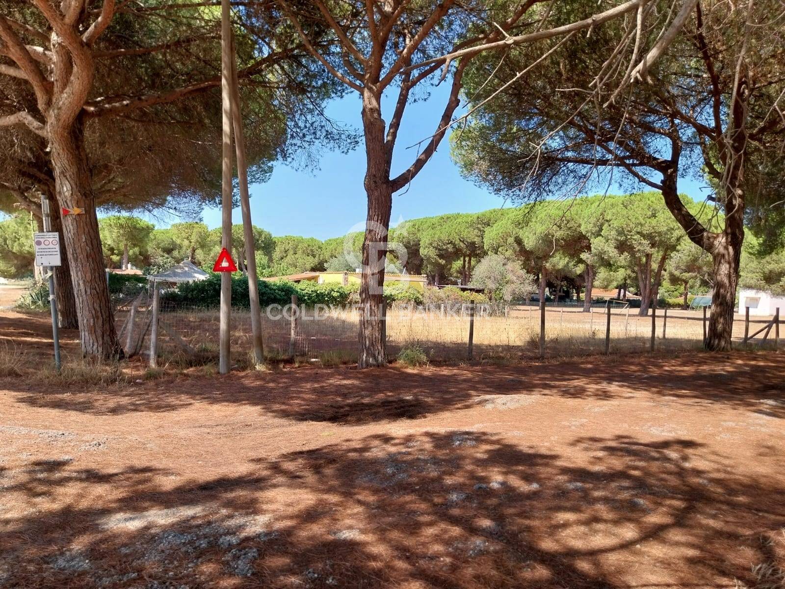 Terreno in vendita a Tarquinia, San Giorgio