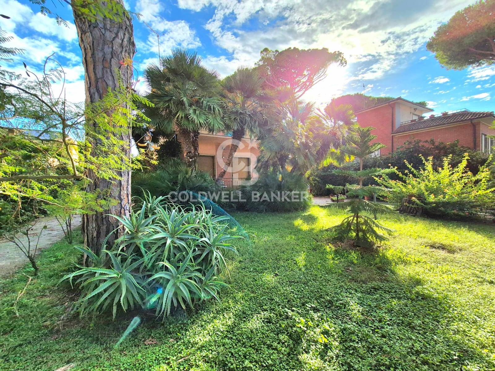 Villa in vendita a Tarquinia, Lido di Tarquinia