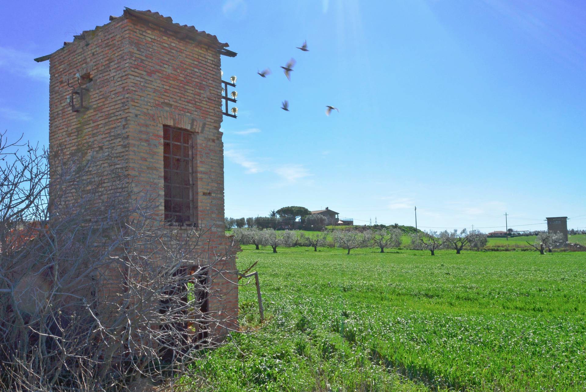 Rustico/Casale/Corte in vendita a Tarquinia, Campagna