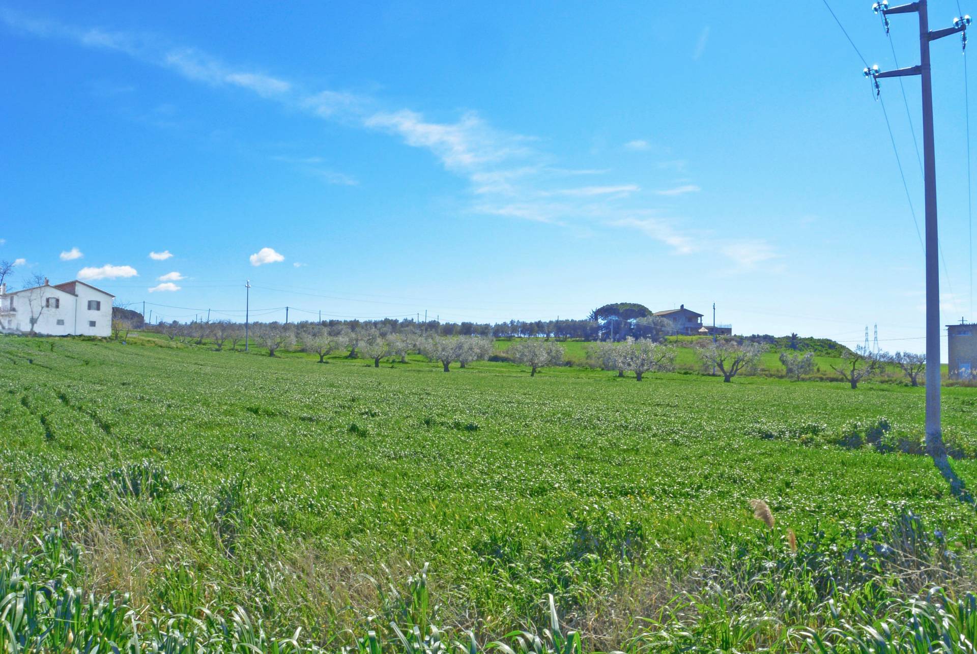 Rustico/Casale/Corte in vendita a Tarquinia, Campagna