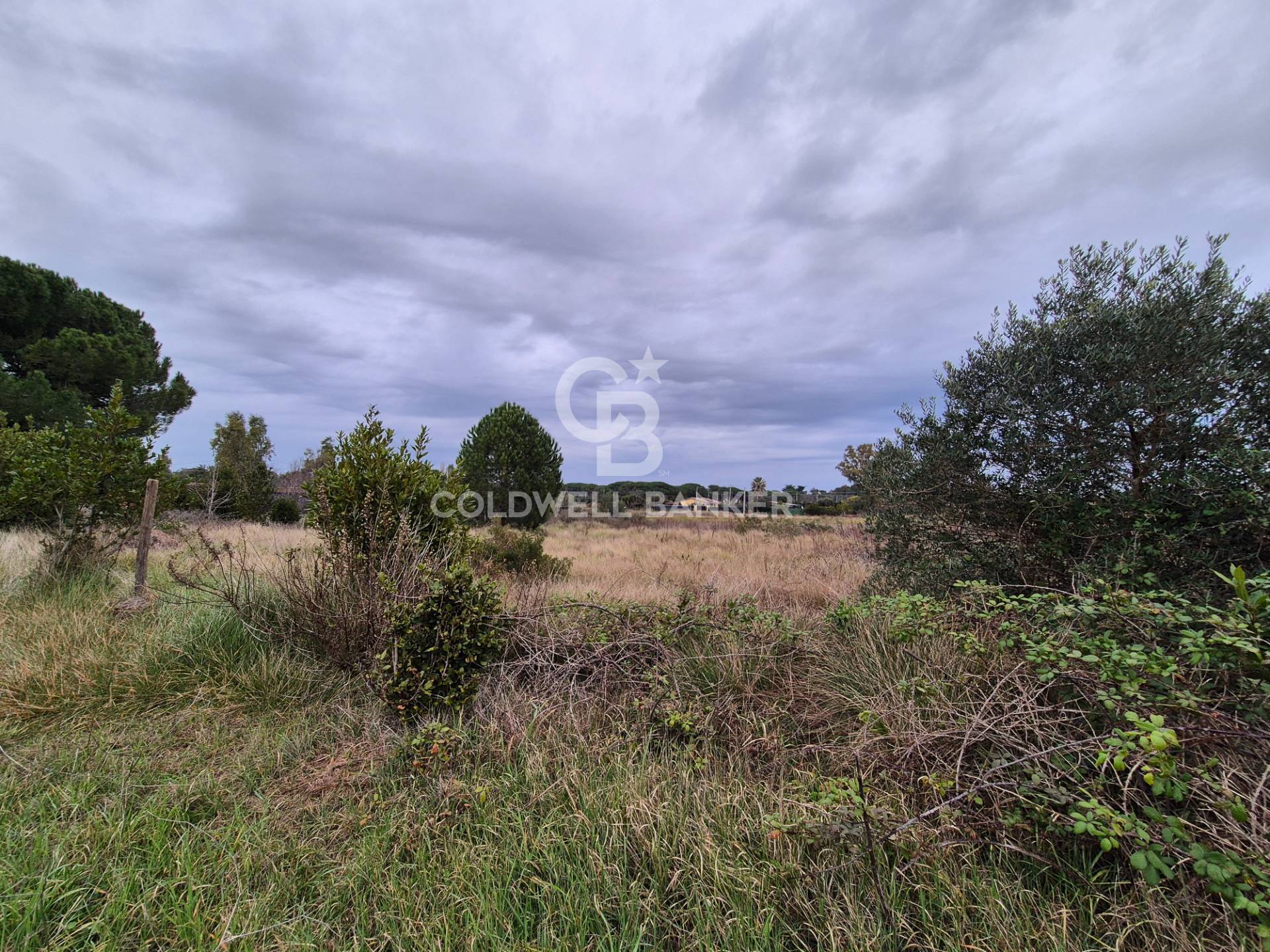 Terreno in vendita a Tarquinia, San Giorgio