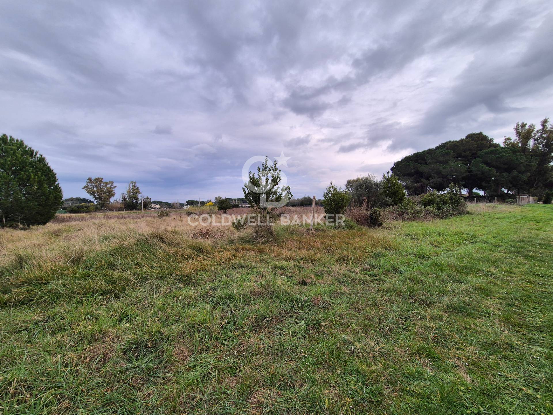 Terreno in vendita a Tarquinia, San Giorgio