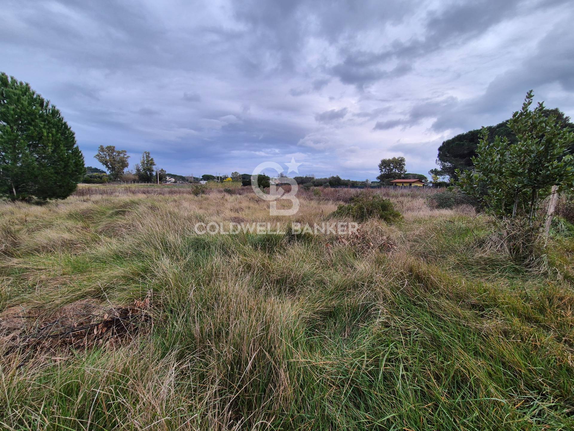 Terreno in vendita a Tarquinia, San Giorgio