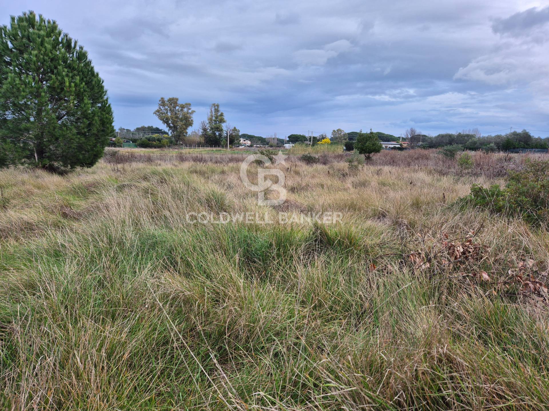 Terreno in vendita a Tarquinia, San Giorgio