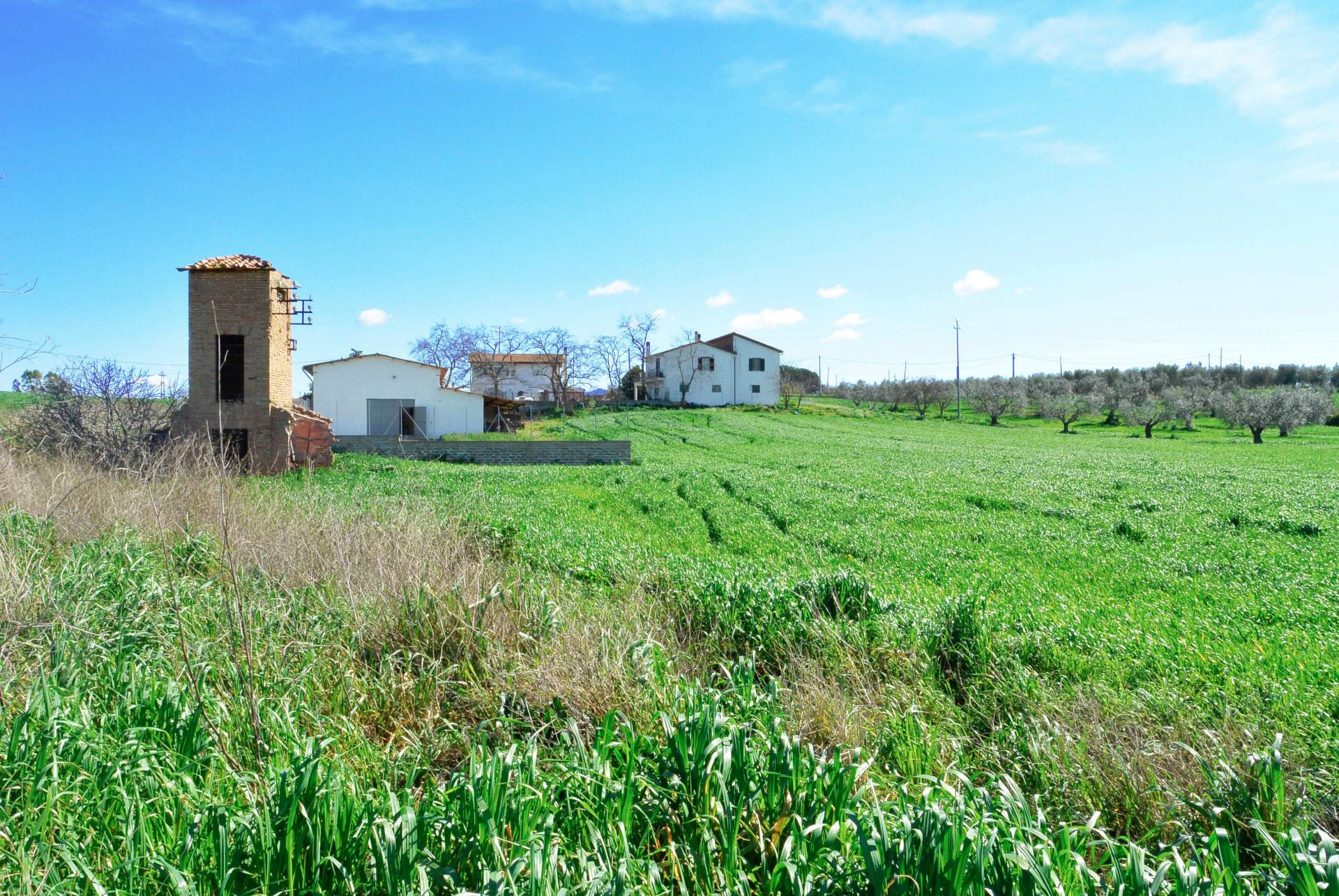 Rustico/Casale/Corte in vendita a Tarquinia, Campagna