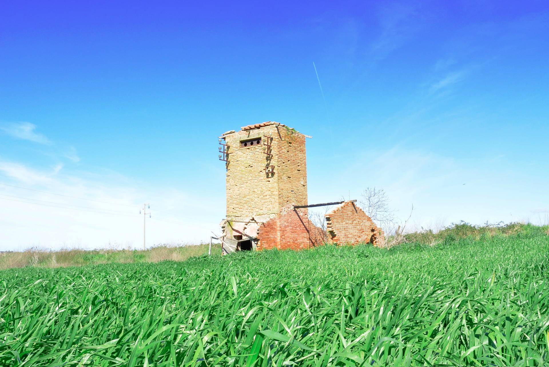 Rustico/Casale/Corte in vendita a Tarquinia, Campagna