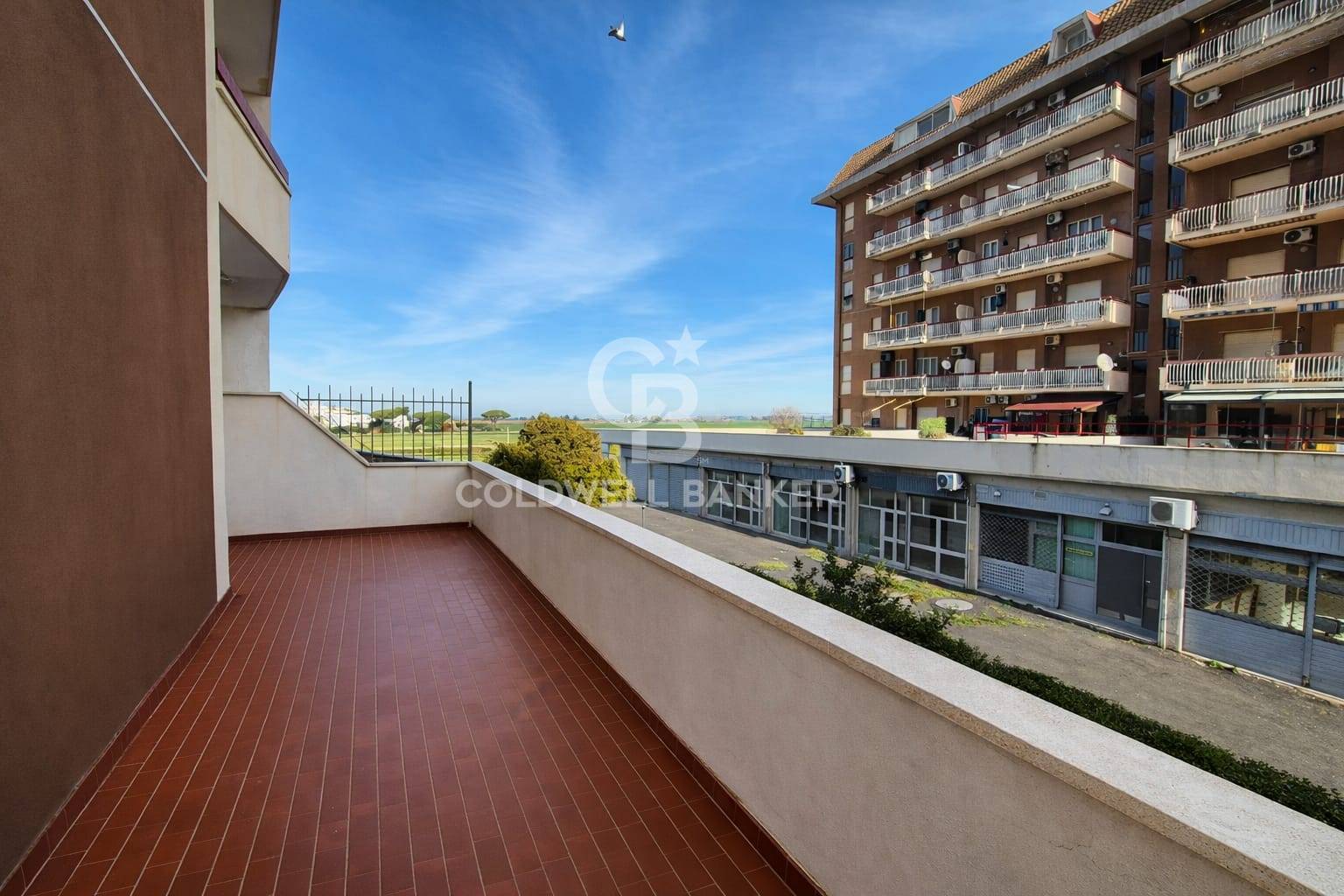 Appartamento in affitto a Tarquinia, Lido di Tarquinia