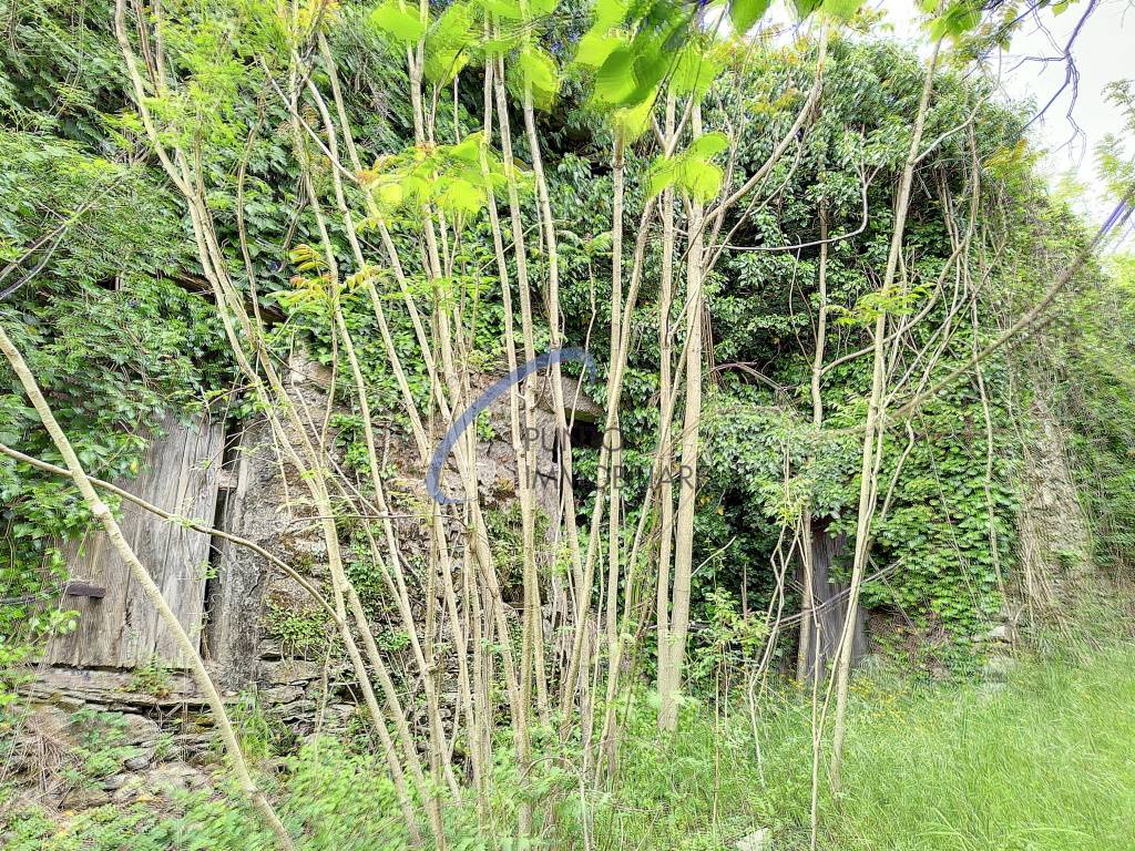 Rustico in vendita a San Colombano Certenoli, San Colombano