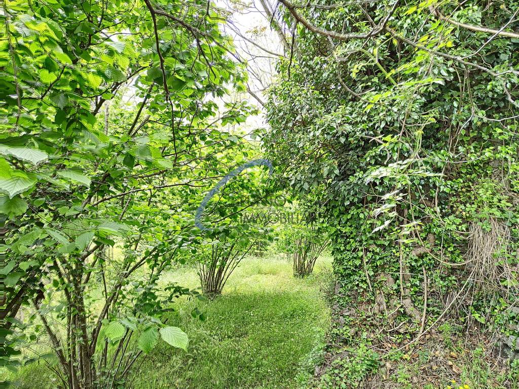 Rustico in vendita a San Colombano Certenoli, San Colombano