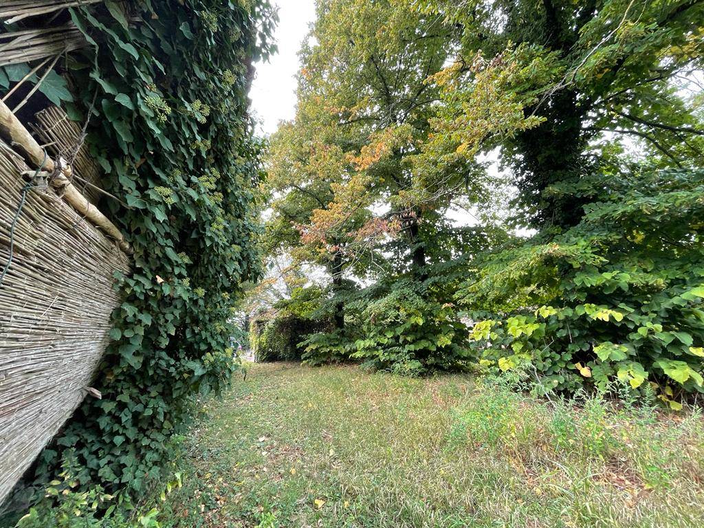 Casa singola in vendita a Villimpenta