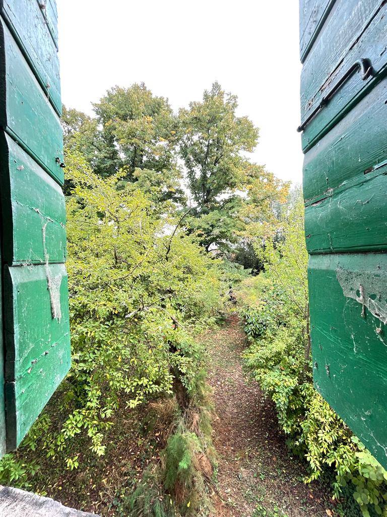 Casa singola in vendita a Villimpenta