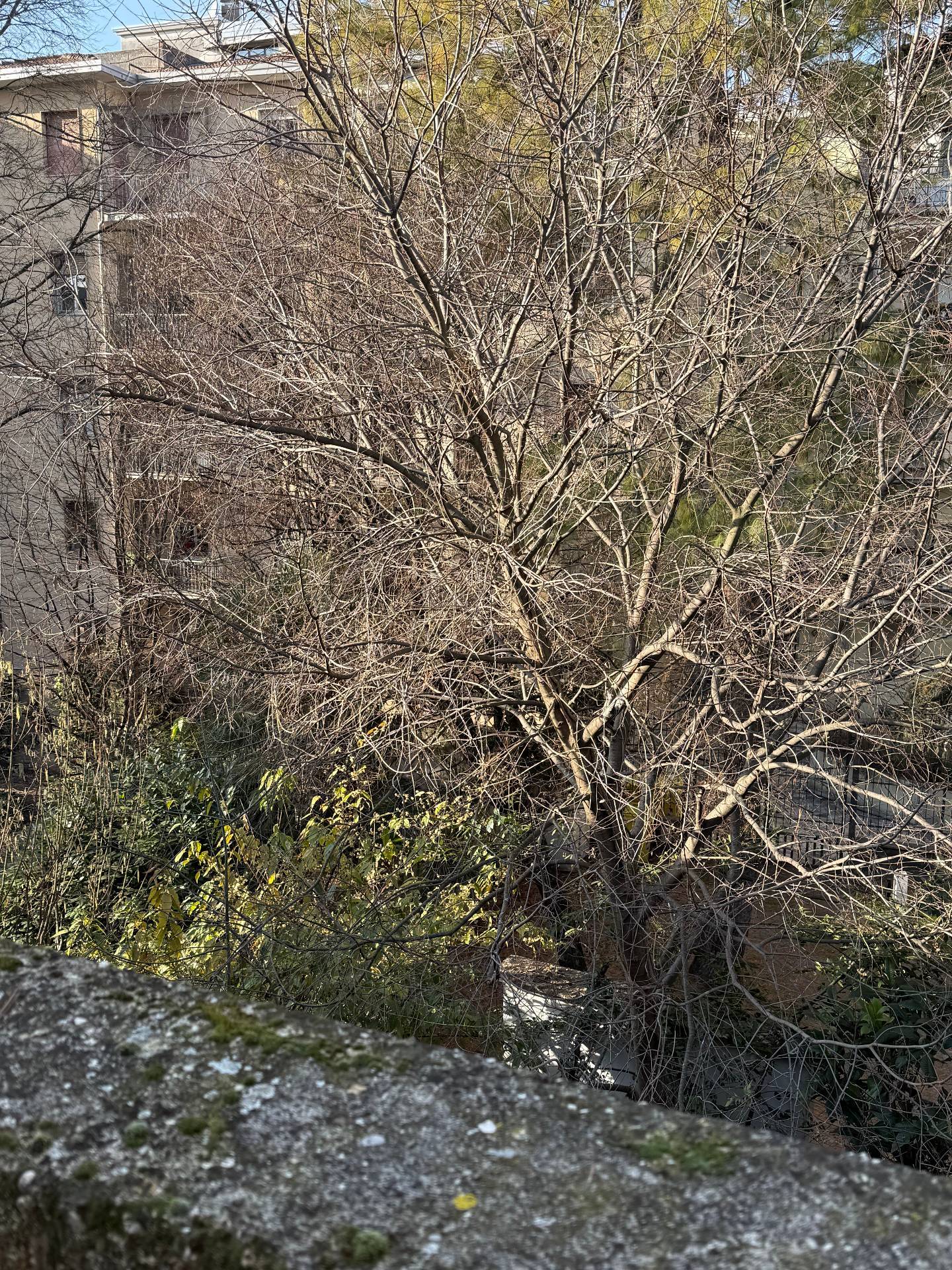 Appartamento in vendita a Mantova, Centro storico