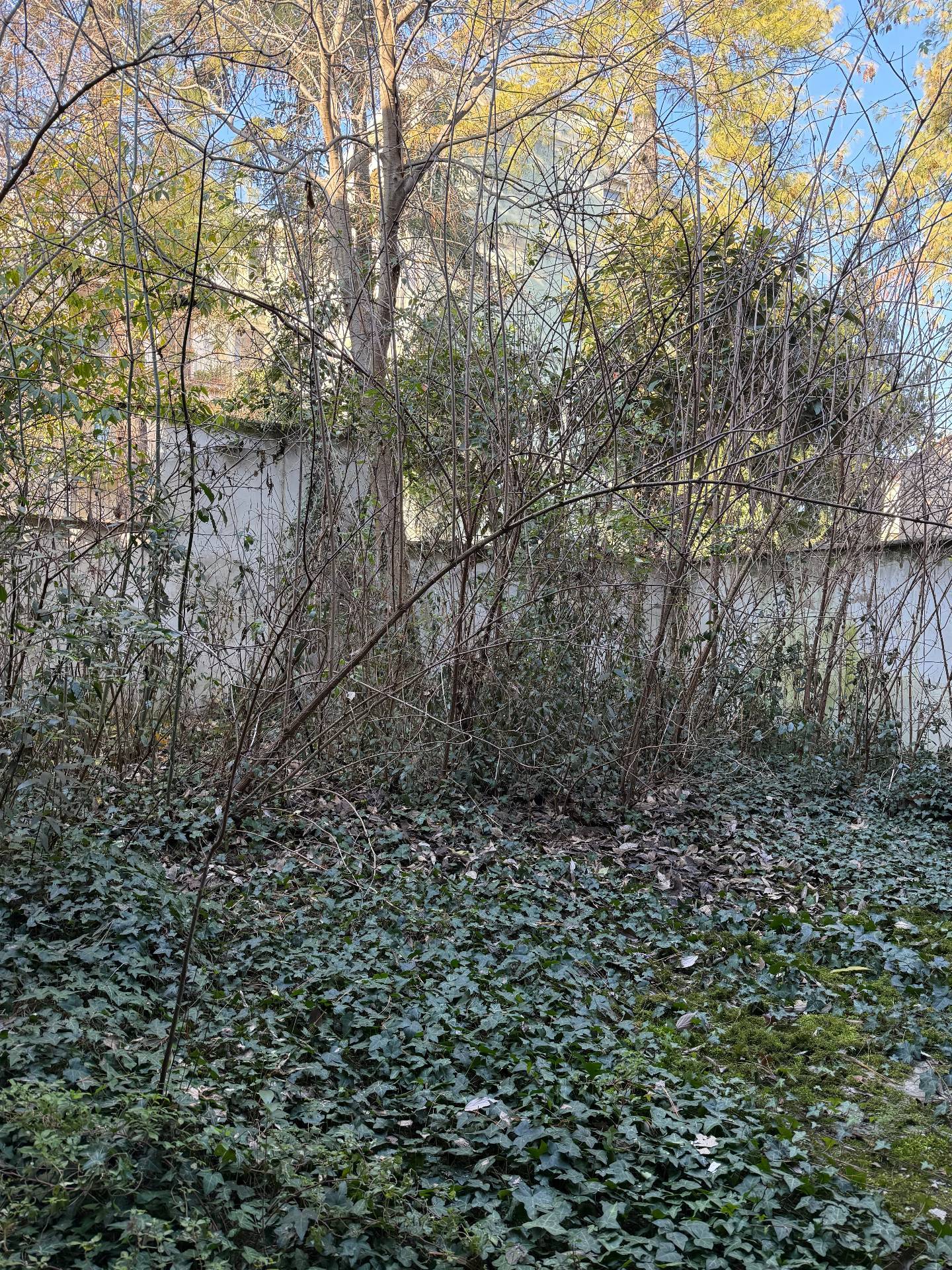 Palazzo con affreschi in vendita a Mantova, Centro storico