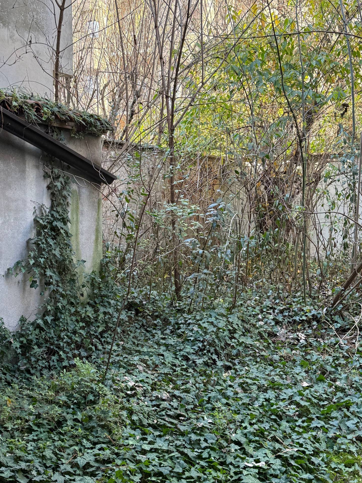 Appartamento in vendita a Mantova, Centro storico