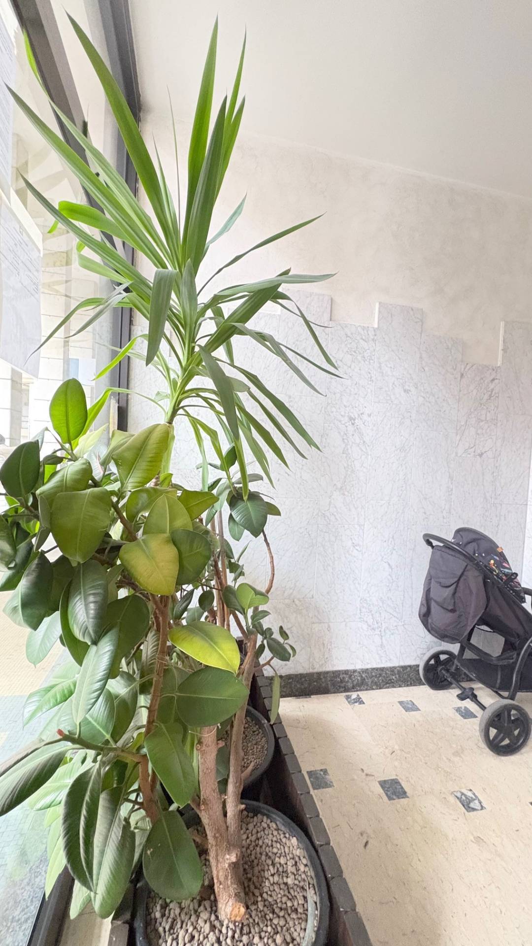 Appartamento in vendita a Mantova, Centro storico