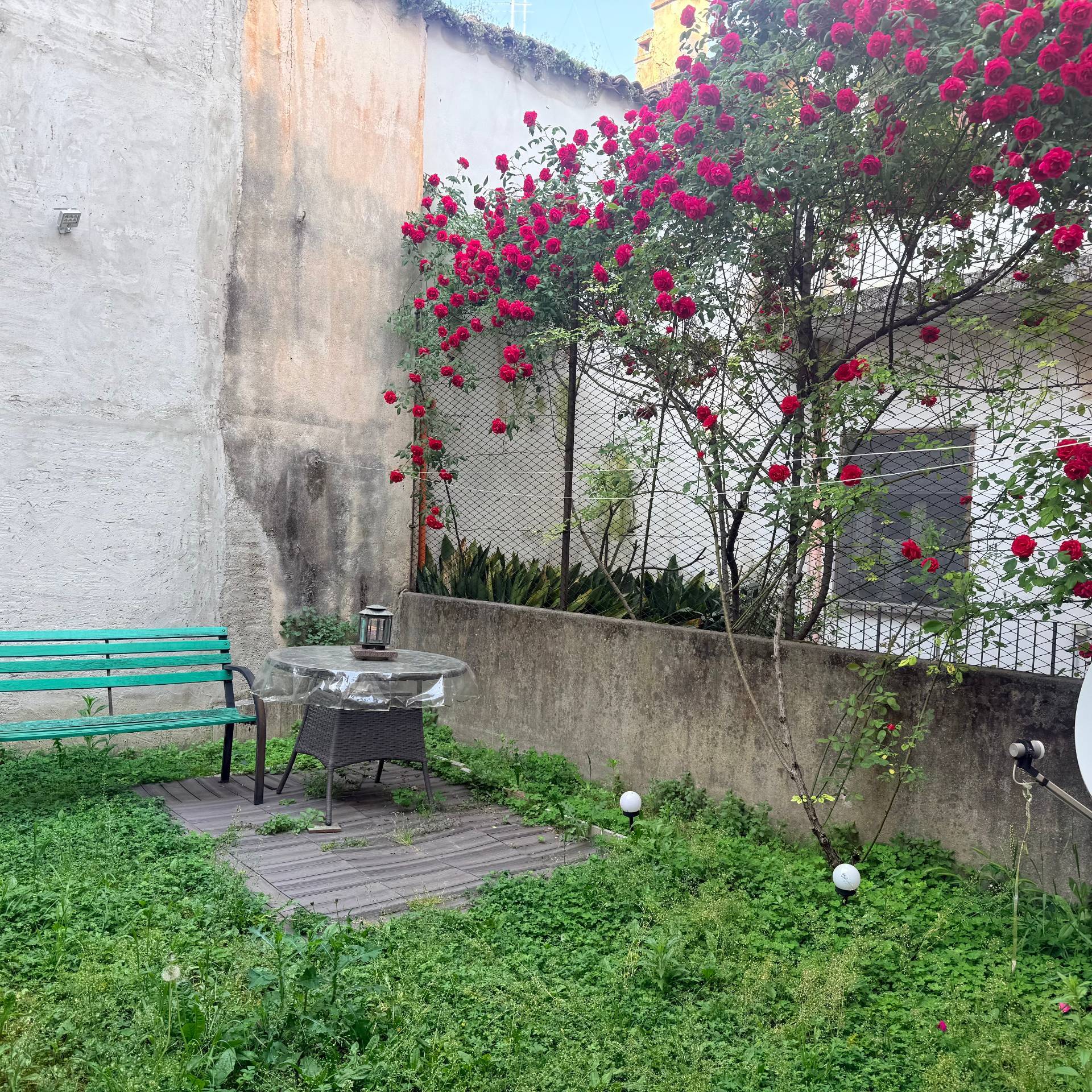 Bilocale in affitto a Mantova, Centro storico