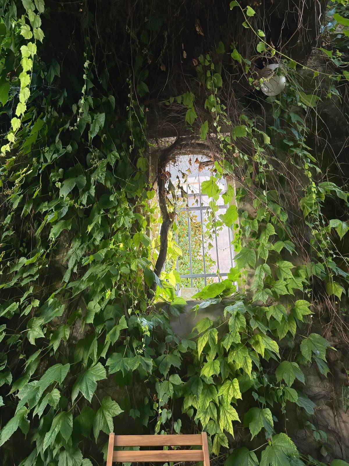 Casa Indipendente in vendita a Mantova, Dosso del Corso