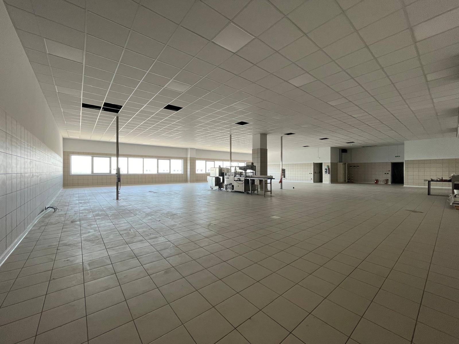 Ufficio/studio in affitto a Maddaloni