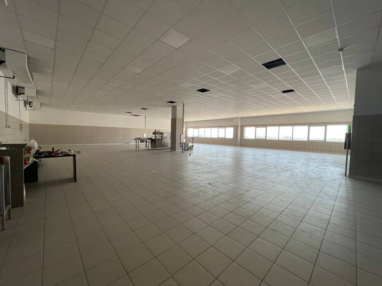 Ufficio/studio in affitto a Maddaloni