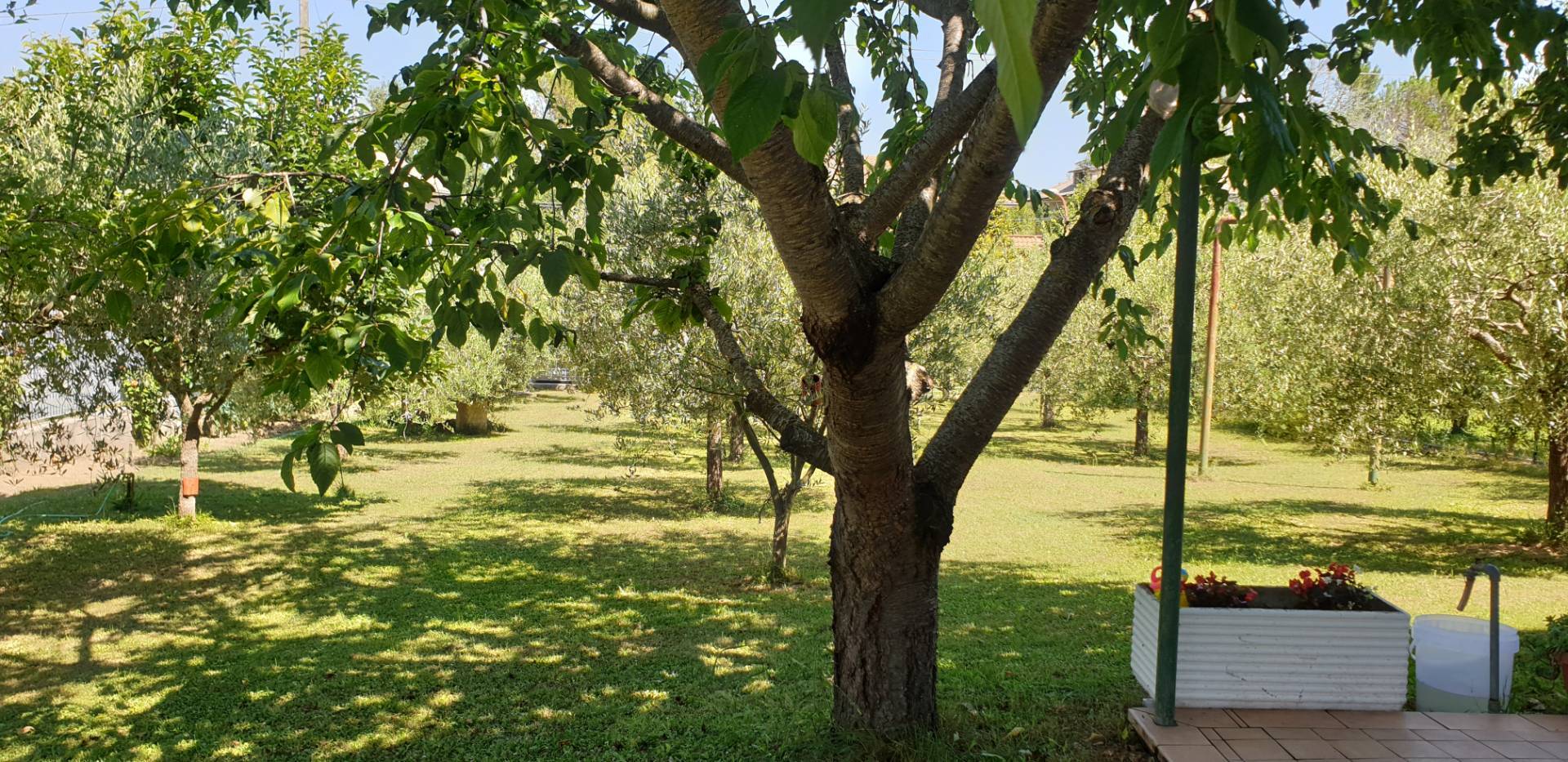 Villa in vendita a Venarotta