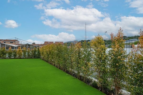 immagine annuncio 3 di 6