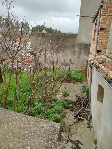 immagine annuncio 4 di 6