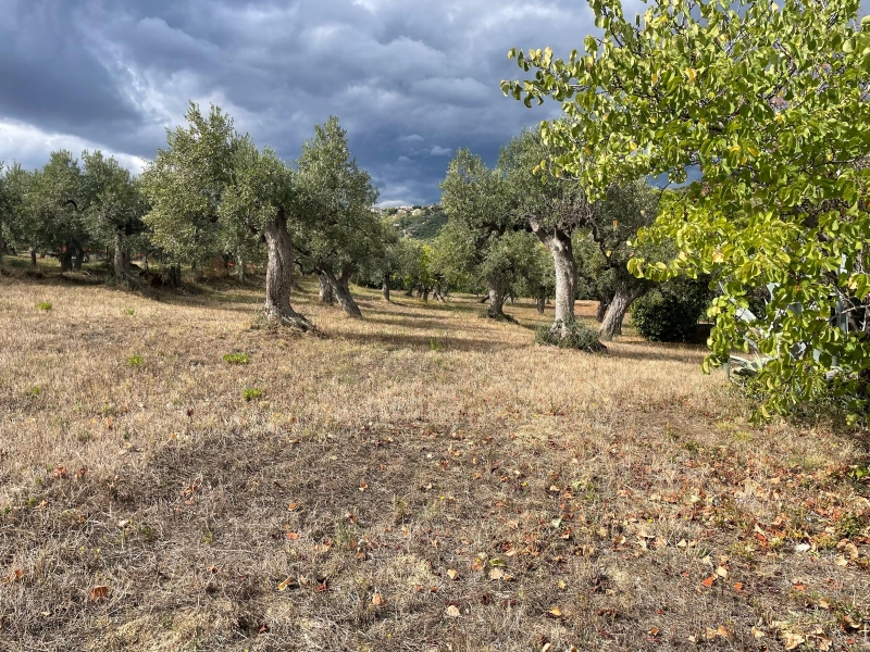 Villa con giardino a Vasto