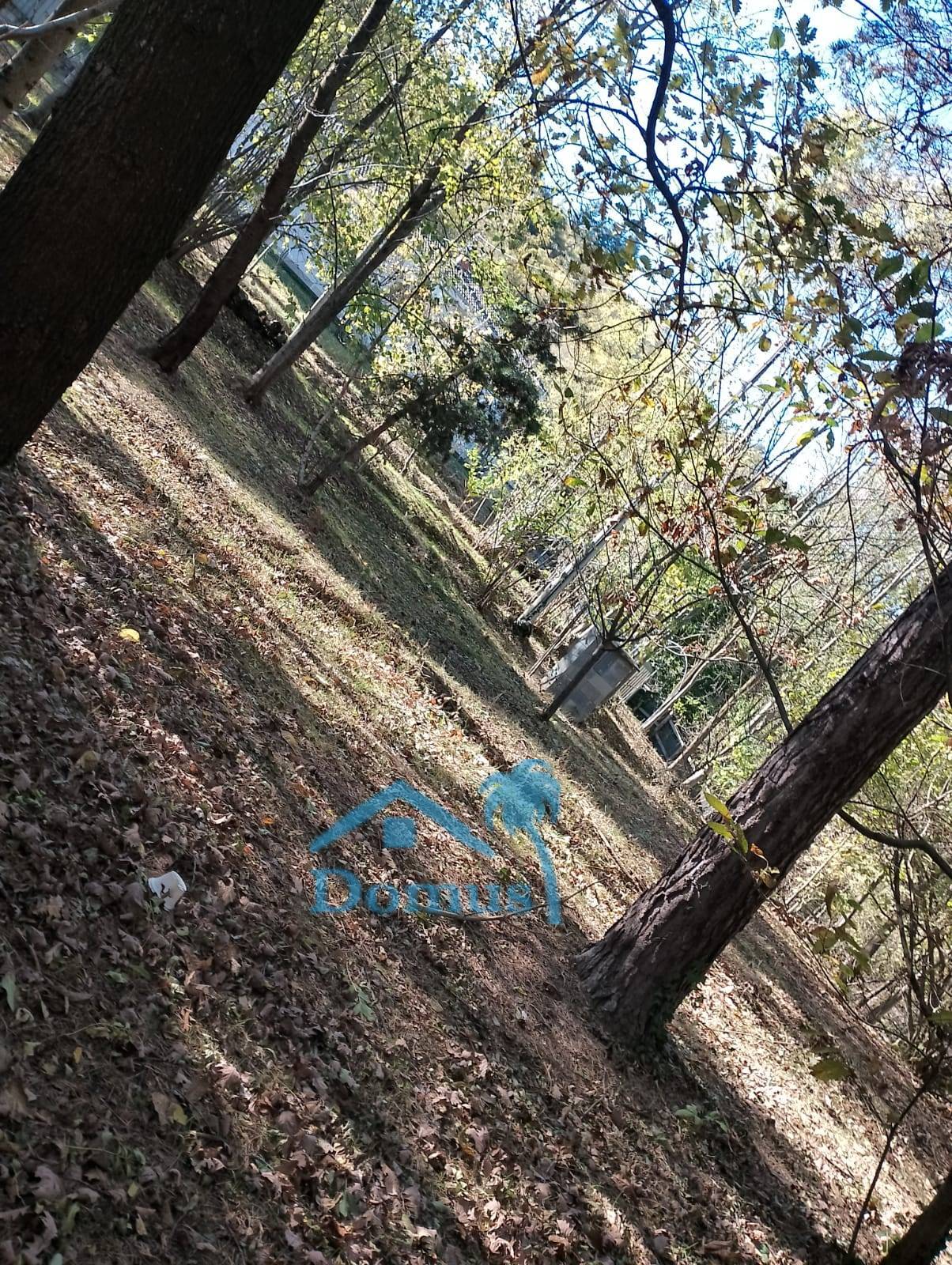 Terreno Agricolo in vendita a Cantalupa