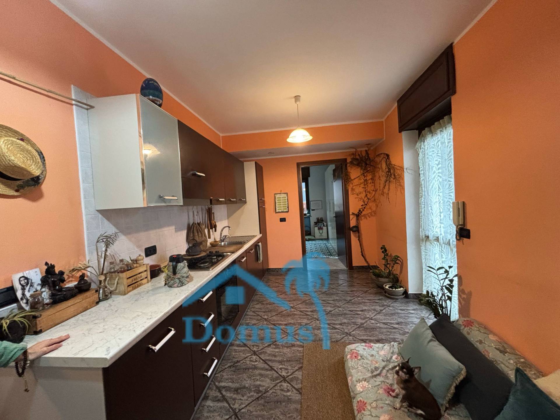 Appartamento in affitto a Pinerolo