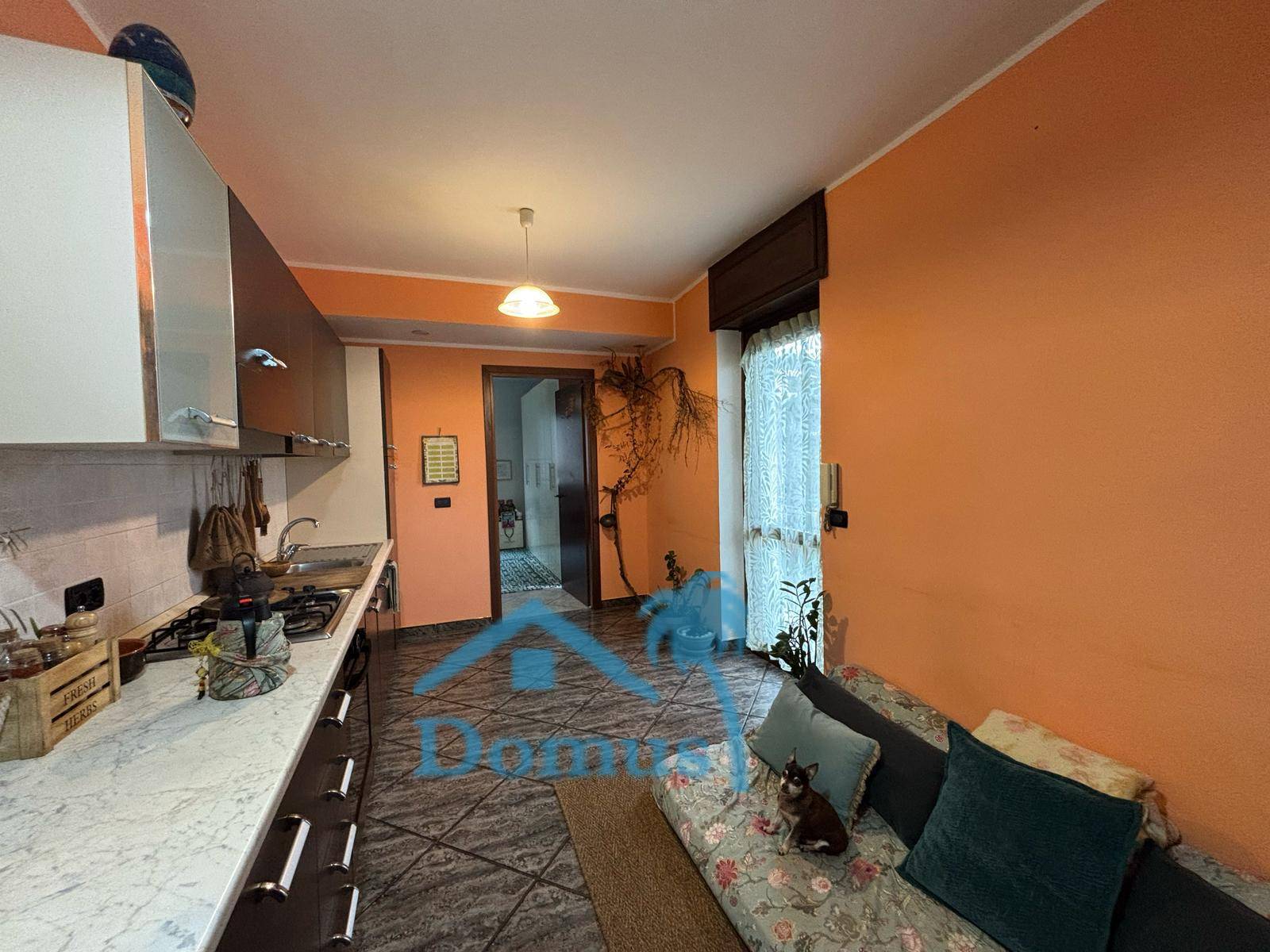 Appartamento in affitto a Pinerolo