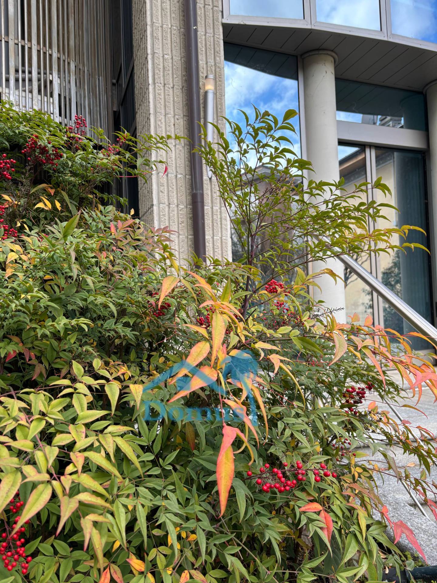 Villa in vendita a Pinerolo