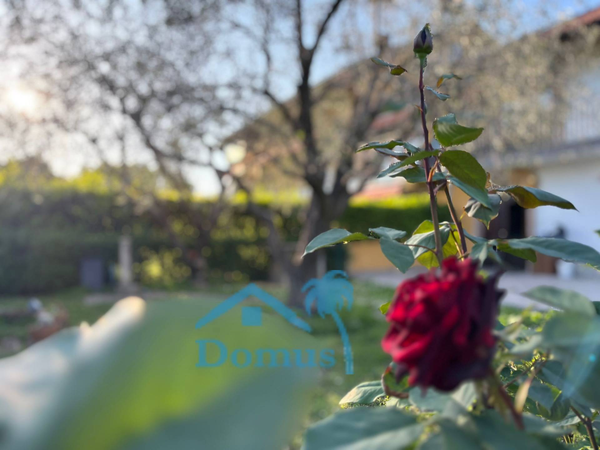 Appartamento in vendita a Pinerolo, Tabona