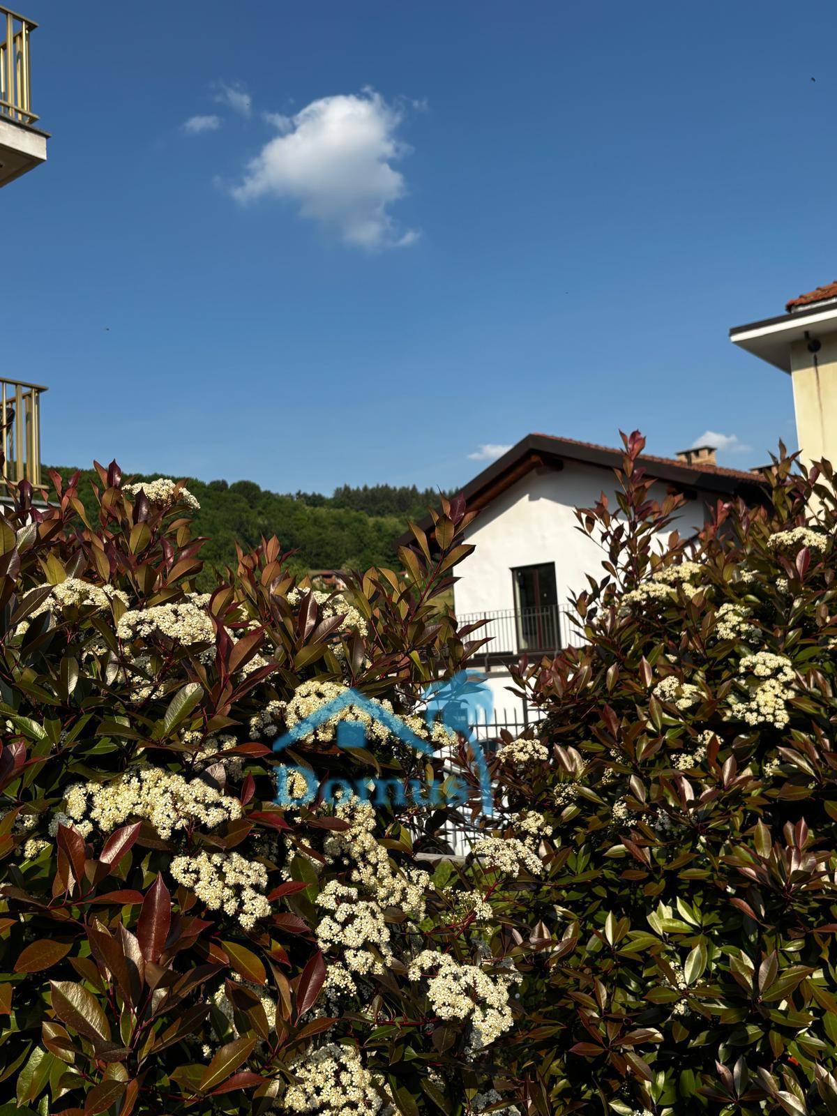 Casa indipendente in vendita a San Pietro Val Lemina