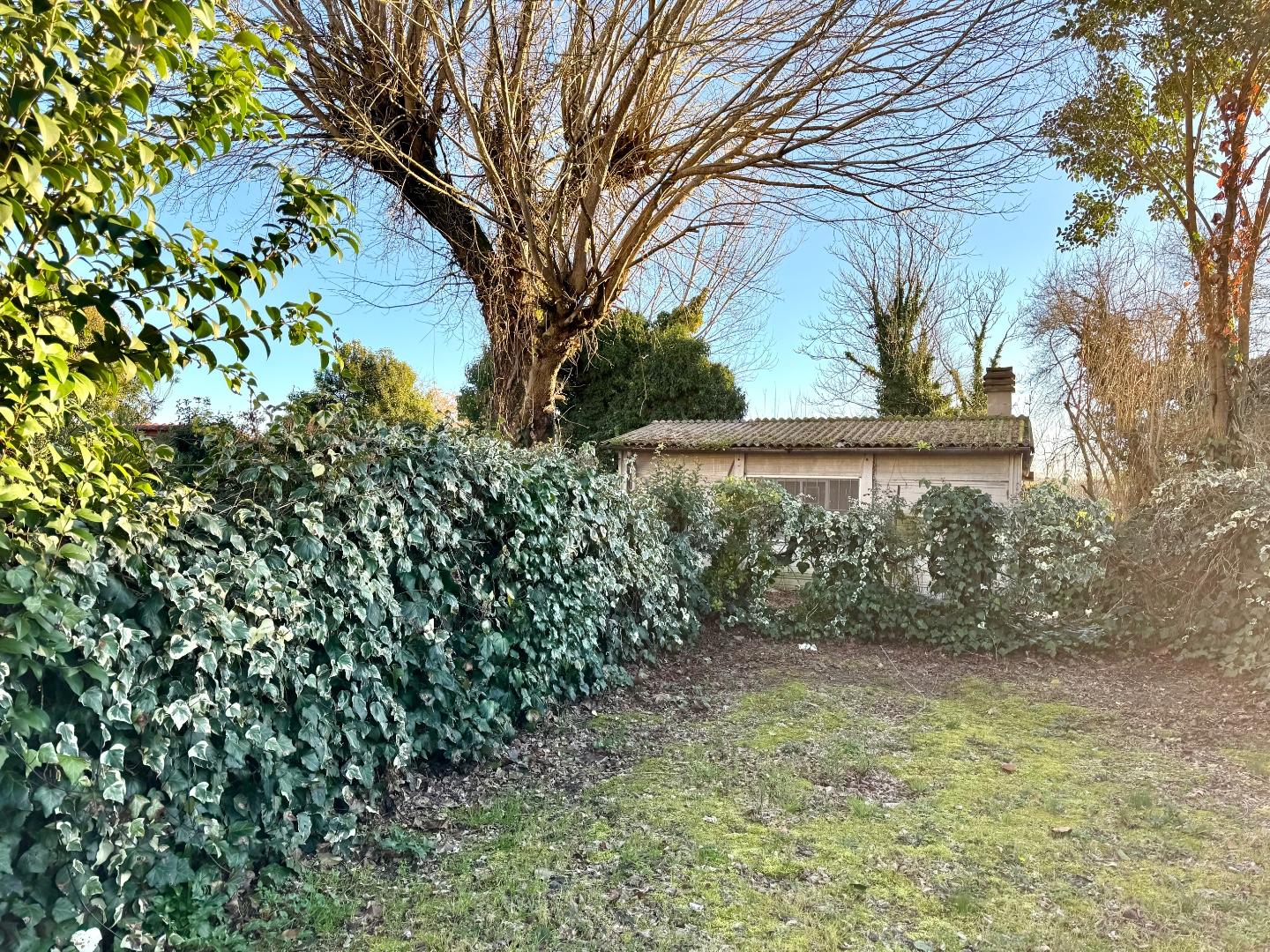 Casa indipendente con giardino, Cerreto Guidi bassa