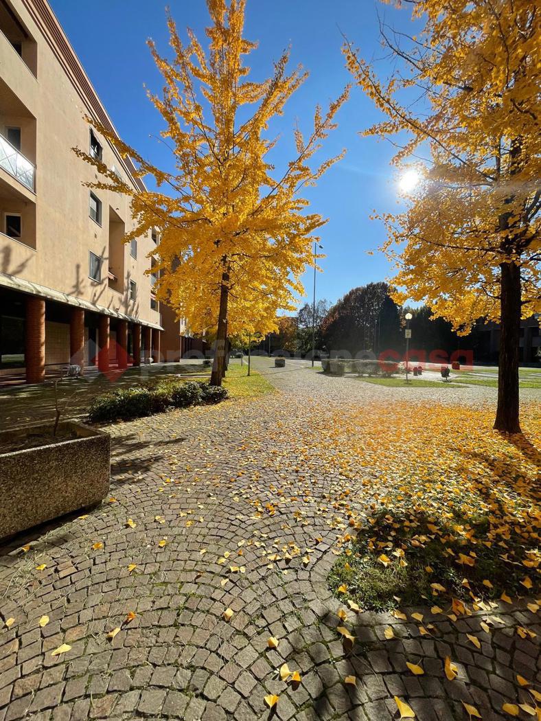 Negozio in vendita a Gessate