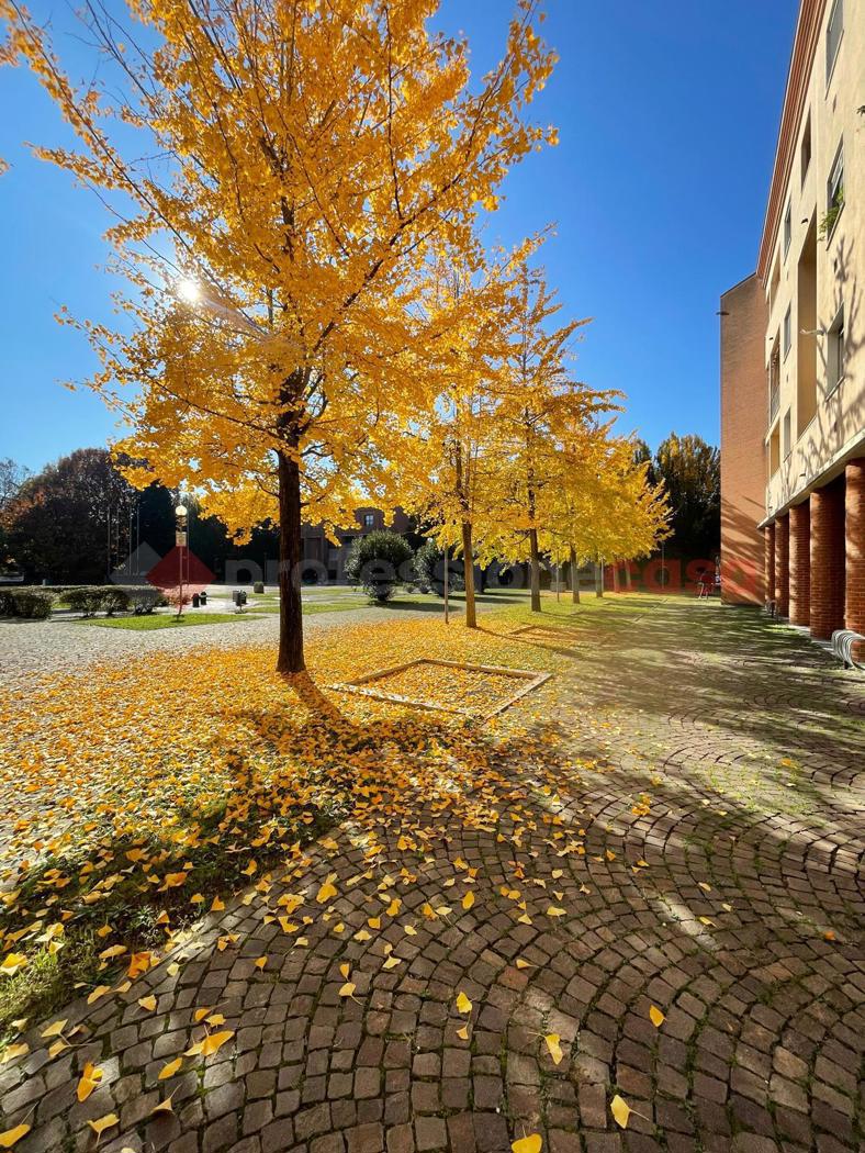 Negozio in vendita a Gessate