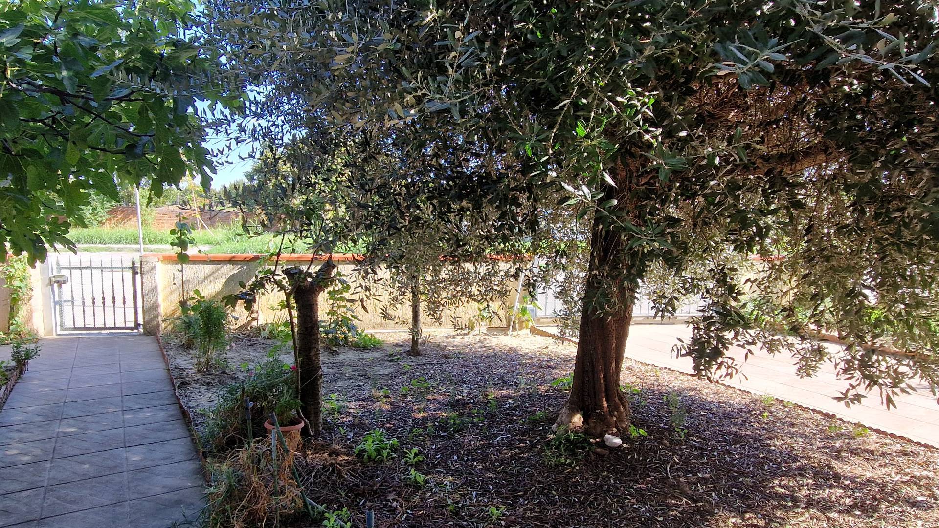 Villette a schiera in vendita a Fiscaglia