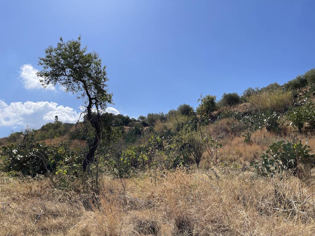 Terreni in vendita a Reggio di Calabria