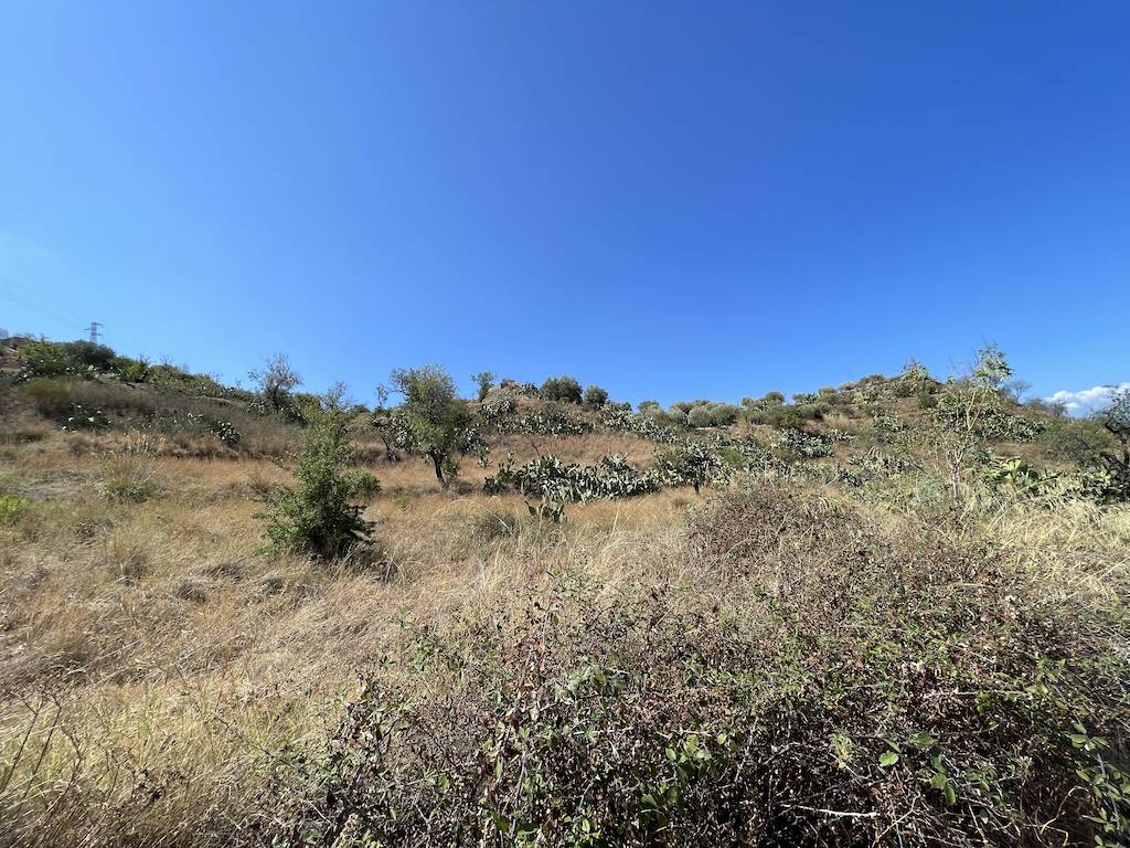 Terreni in vendita a Reggio di Calabria