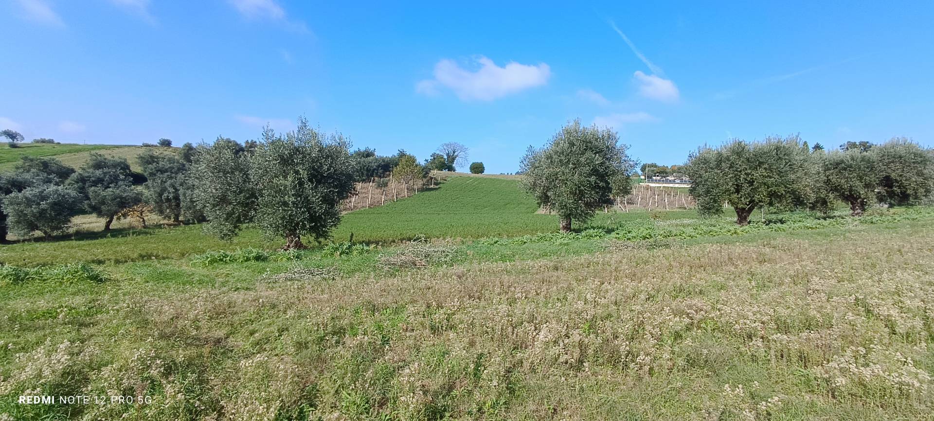 Terreno in vendita, Macerata periferia