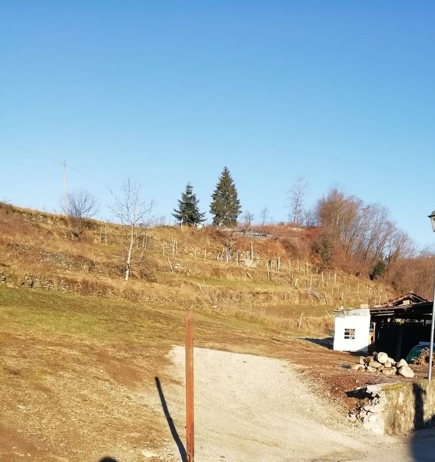 Terreno edificabile in vendita a Tenna