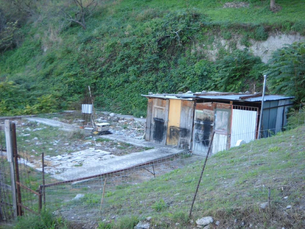 Terreno Agricolo in vendita a Guardialfiera