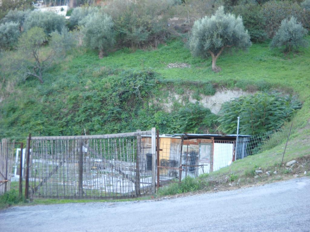 Terreno Agricolo in vendita a Guardialfiera