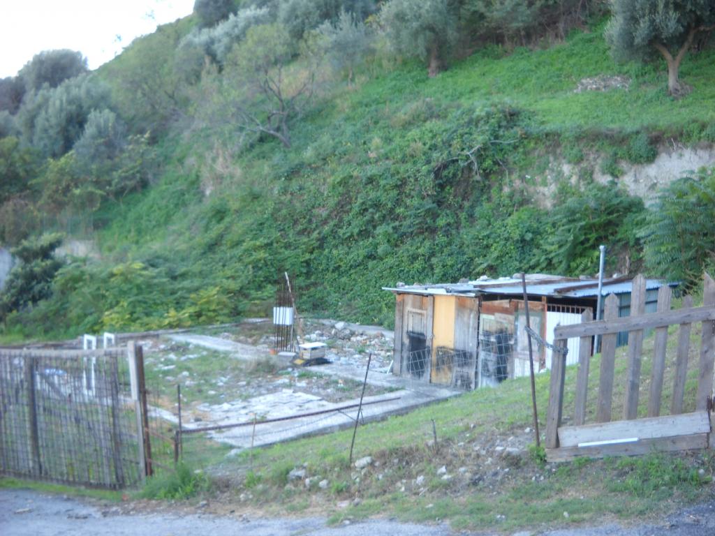Terreno Agricolo in vendita a Guardialfiera