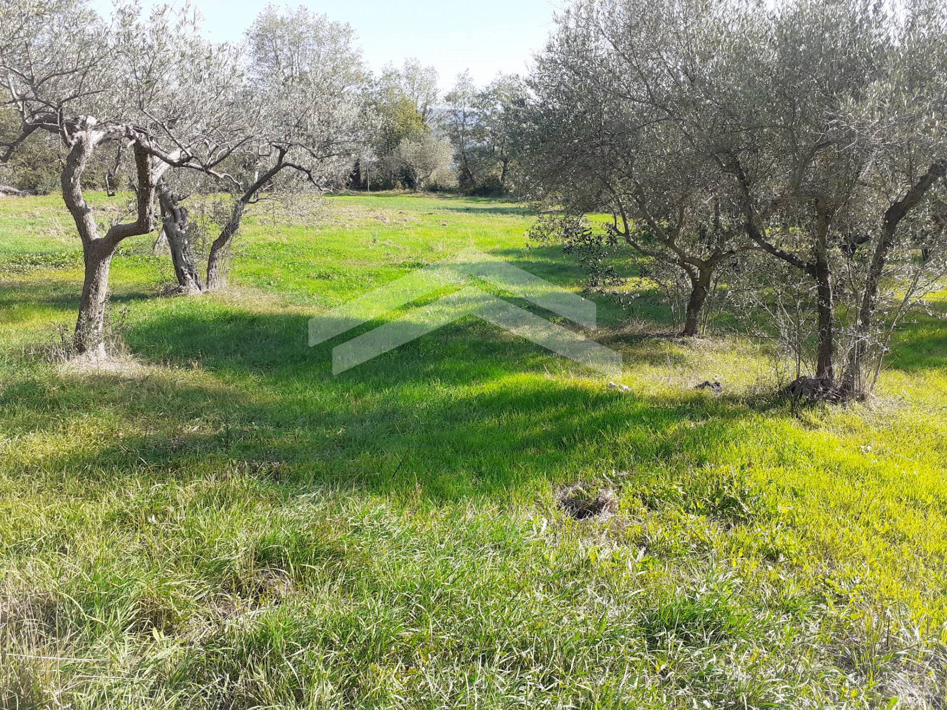 Terreno in vendita a Guardialfiera