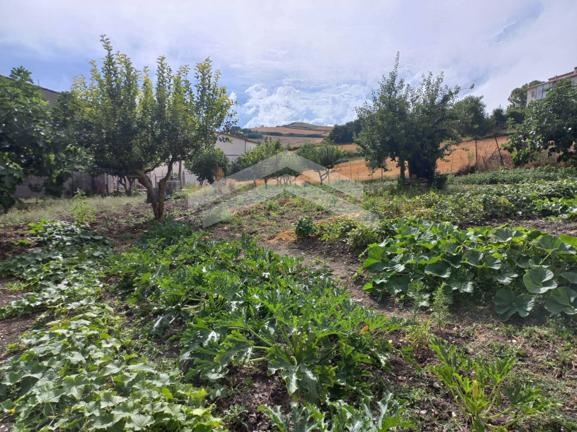 Casa indipendente in vendita a Bonefro